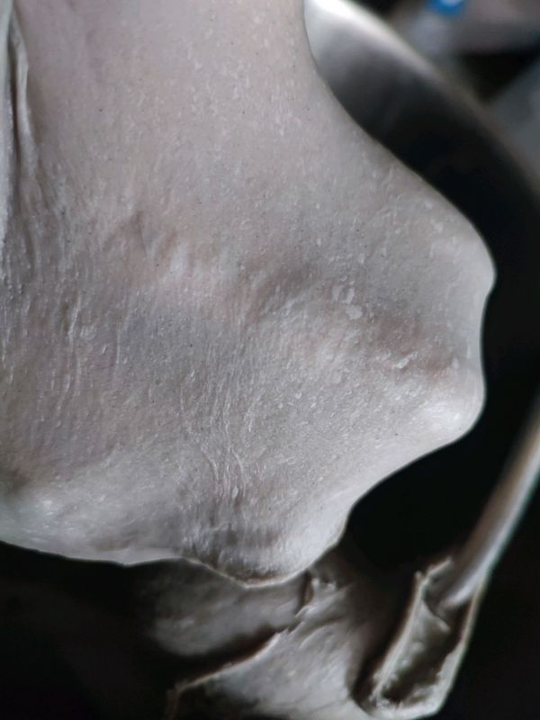 黑芝麻手撕吐司