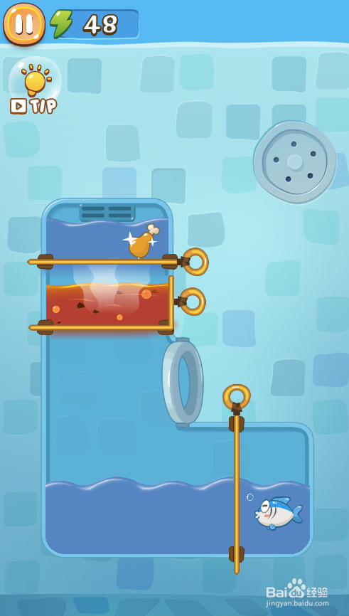 A Wise Fish的Level 7如何通关?