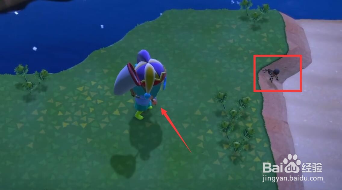 动森蜘蛛怎么捉