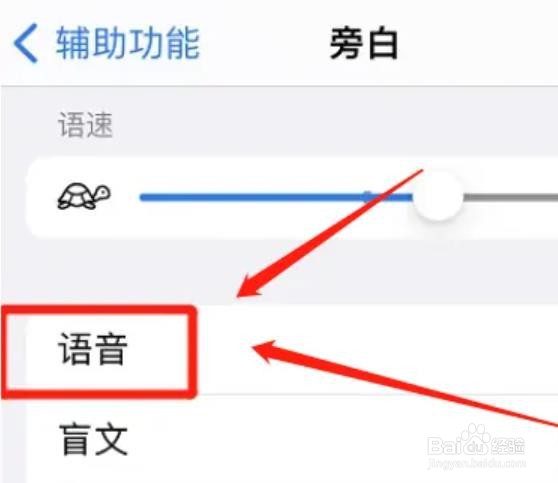 怎么设置iphone旁白音调变化?