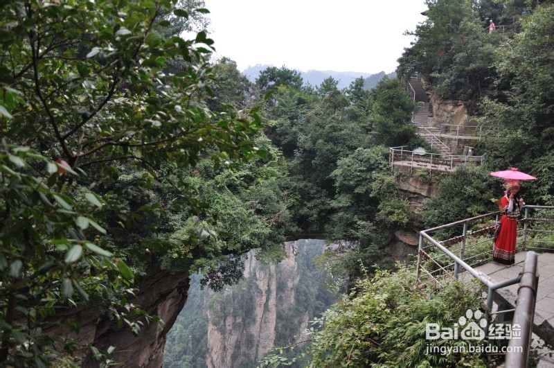 莱芜到张家界自驾游