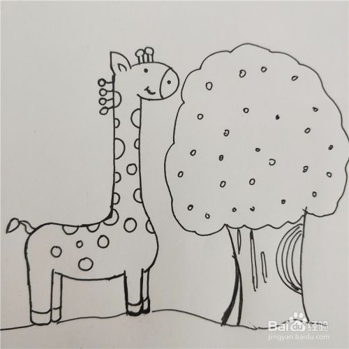 宝宝启蒙画：如何画一只长颈鹿？