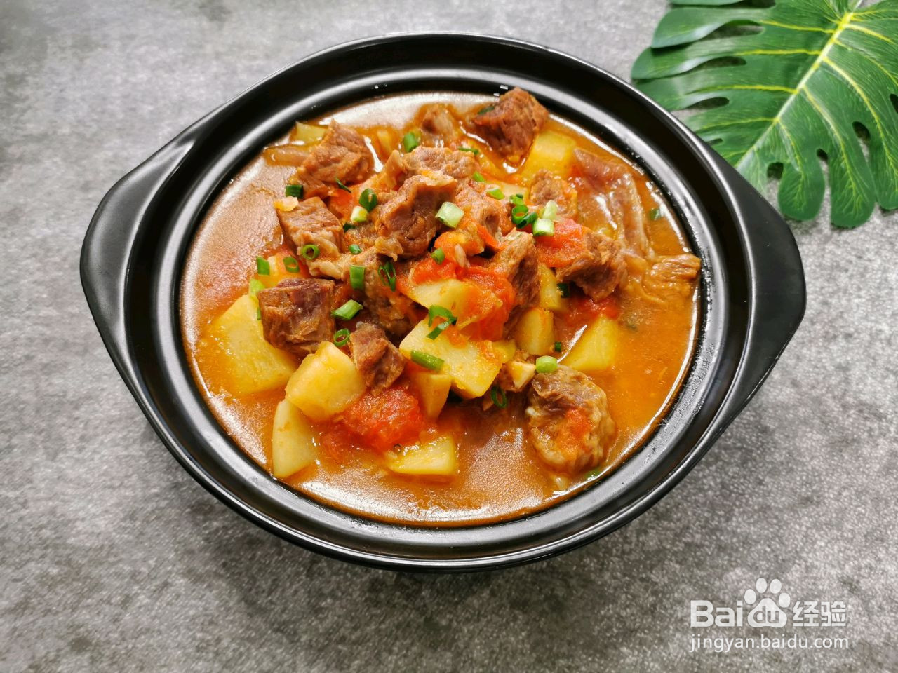 西红柿土豆烧牛腩的做法
