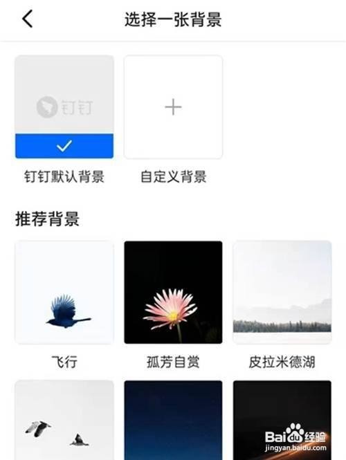 钉钉如何自定义聊天背景图?