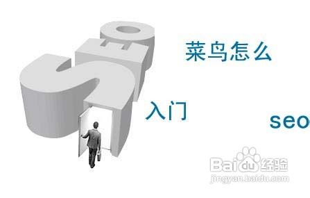 菜鸟怎样学习seo?