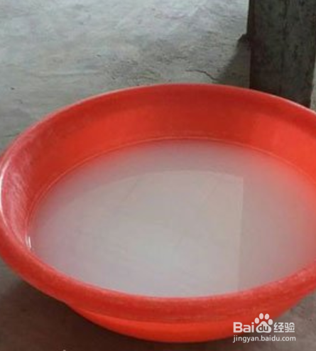 家有蟑螂怎样才能除尽