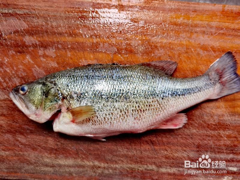 家常清蒸鲈鱼的做法