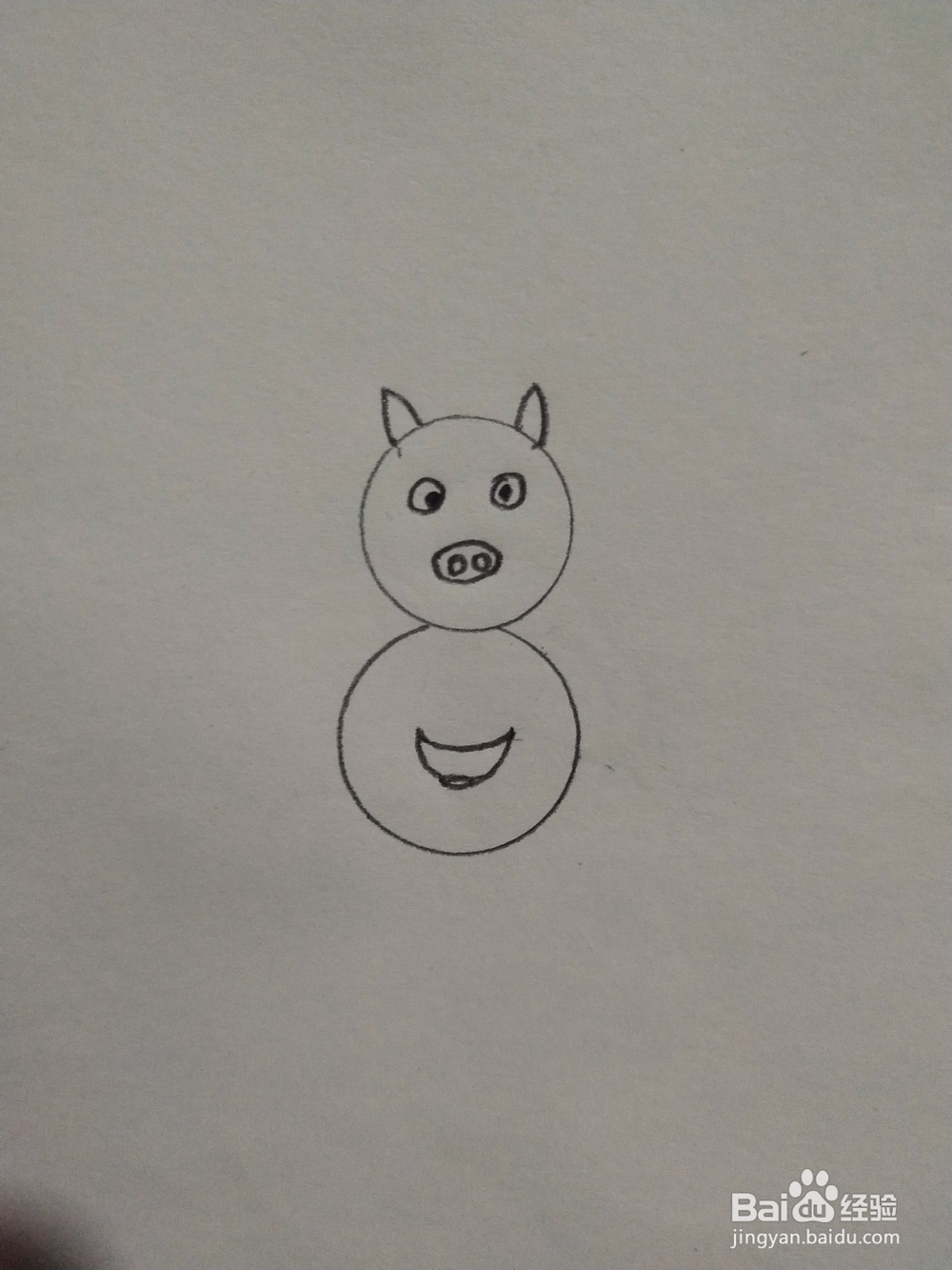 猪简笔画怎么画