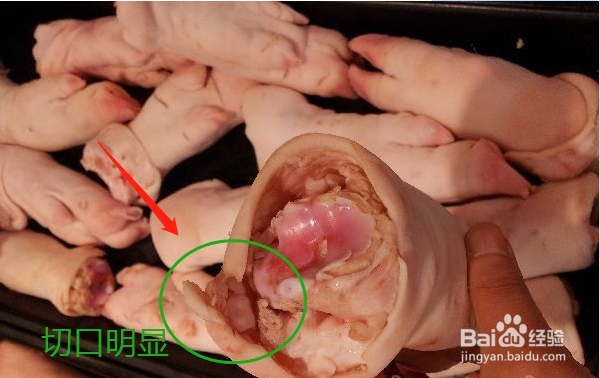 如何辨别猪蹄是否被抽筋