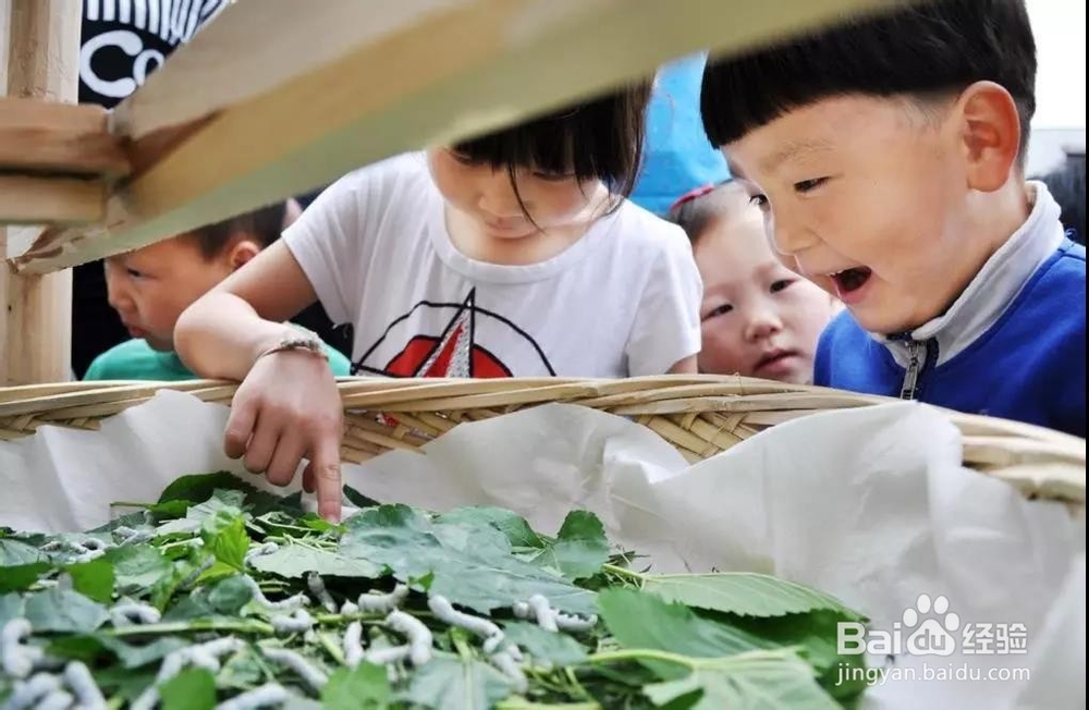 最强中秋出游震泽指南分享！