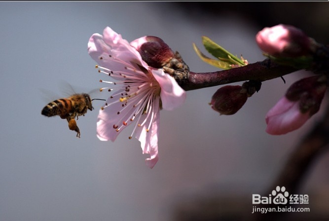 嘉兴自助游,去体验嘉兴人的生活