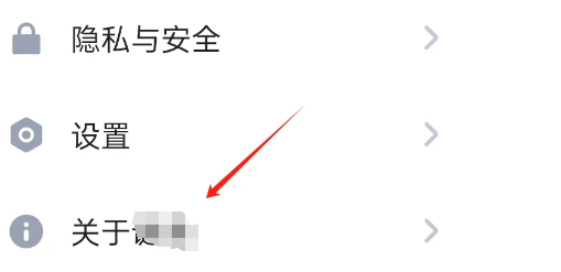 谜境APP如何开启勿扰模式