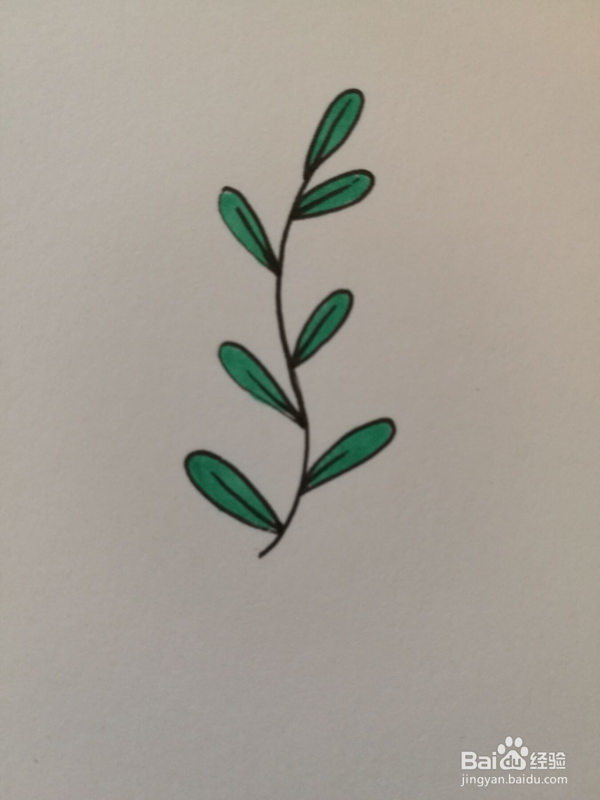 小草简笔画之画法八