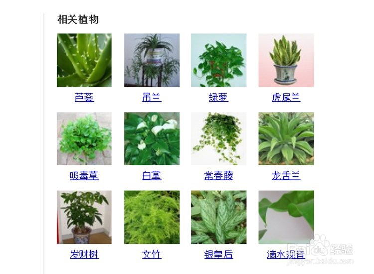 新家如何去甲醛去异味?