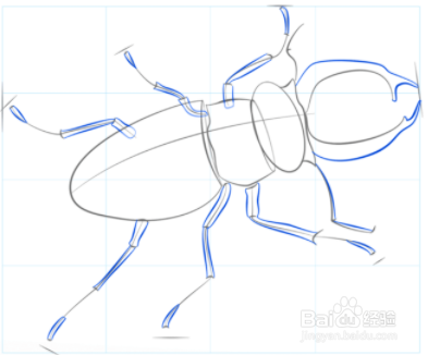 如何绘制鹿角虫