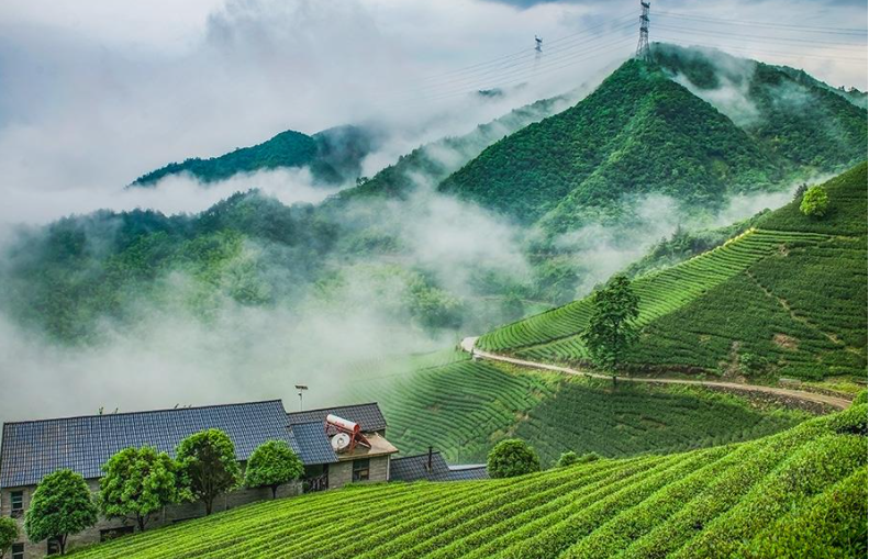 梦回廊桥的寓意