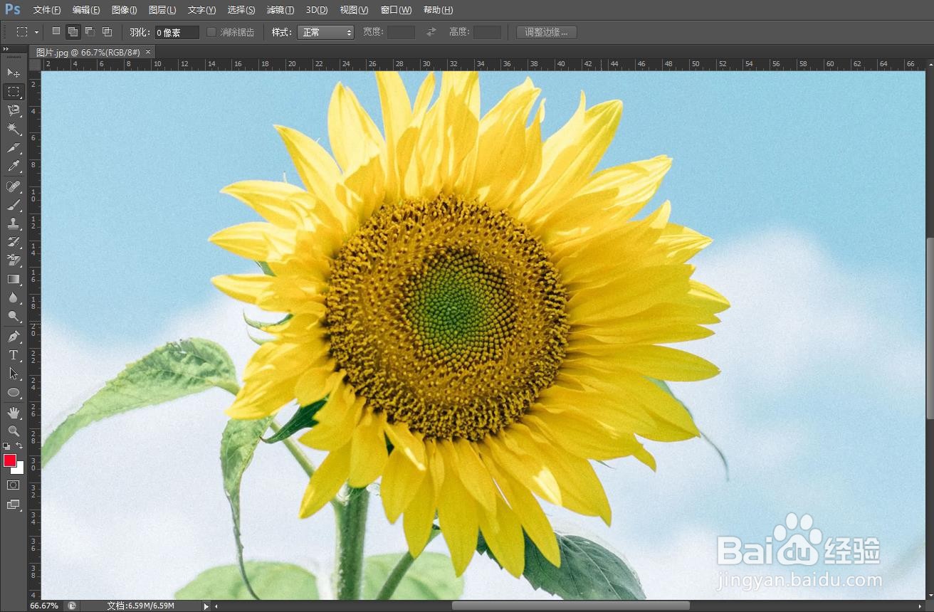 如何放大ps中的图片