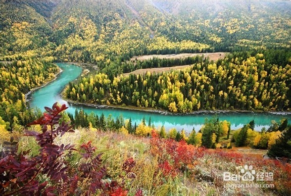 人间仙境—喀纳斯旅游攻略