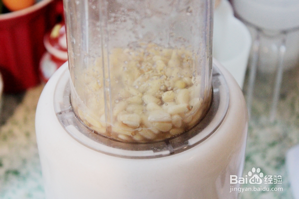 教你做青边鲍松子沙拉山姆厨房