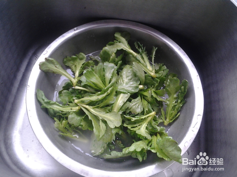 菊花菜的简单做法