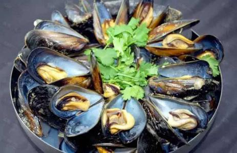 海虹、青口、淡菜有什么区别