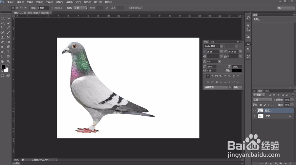 ps新手教学 必学6