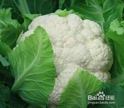 怎么看花菜熟没熟生花菜和熟花菜 百度经验 怎么看花菜熟没熟生花菜和熟花菜 百度经验