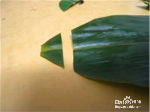 新鲜粽叶怎么处理