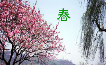 春课文原文分段