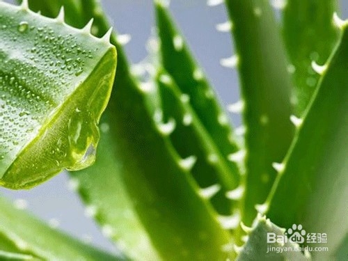 清玻蚀花怎么做