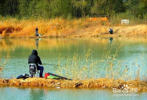 如何认知冬钓技巧