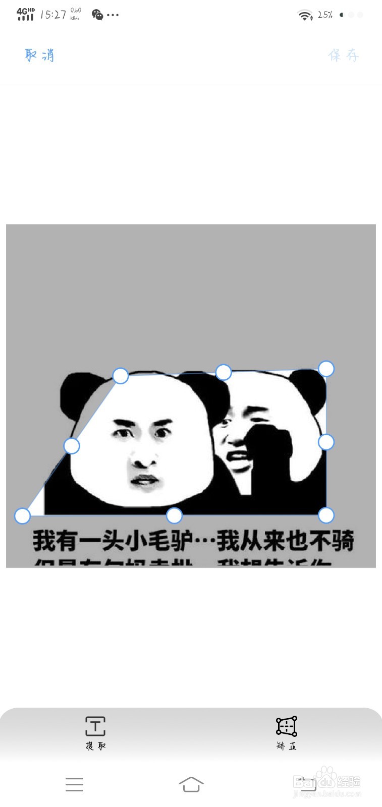 如何复制图片上的文字内容