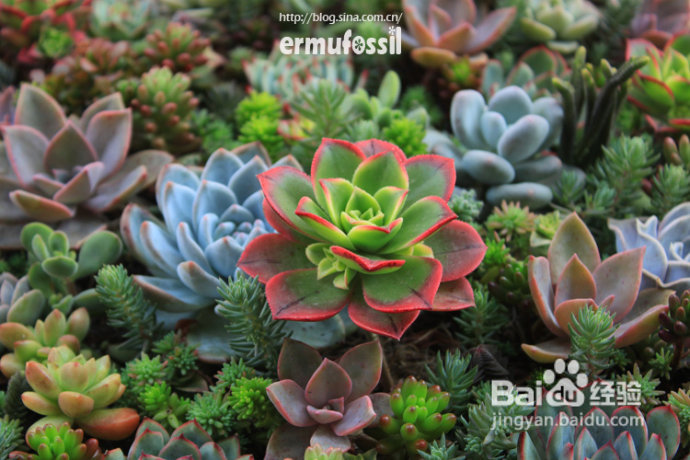 2012年6月23日 记录