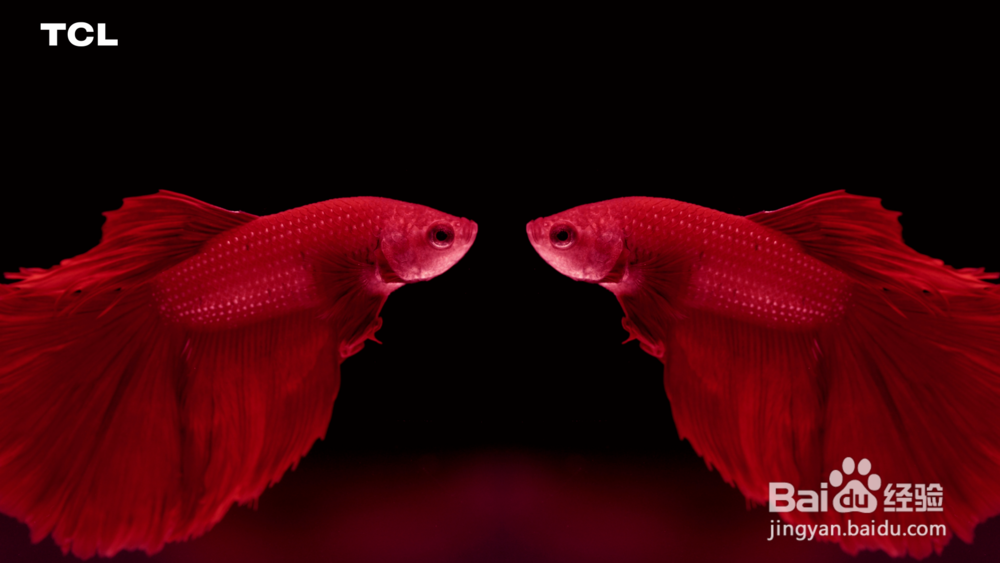 芒果月光宝盒开博尔H19 本地效果好不好？