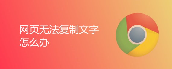 网页无法复制文字怎么办