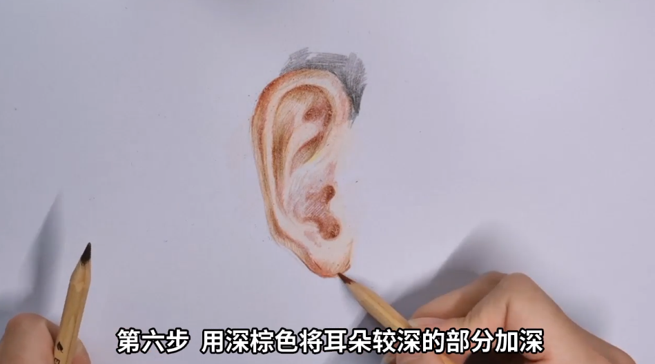 如何用彩铅画耳朵？