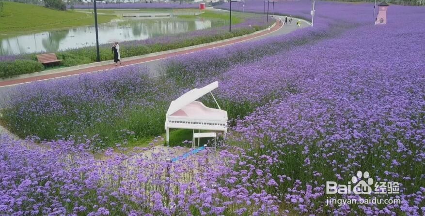 走进山里江南 领略夏日不一样的味道