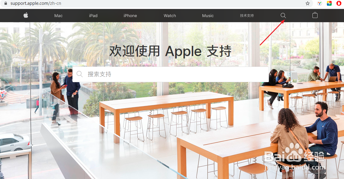苹果官网怎么查询序列号