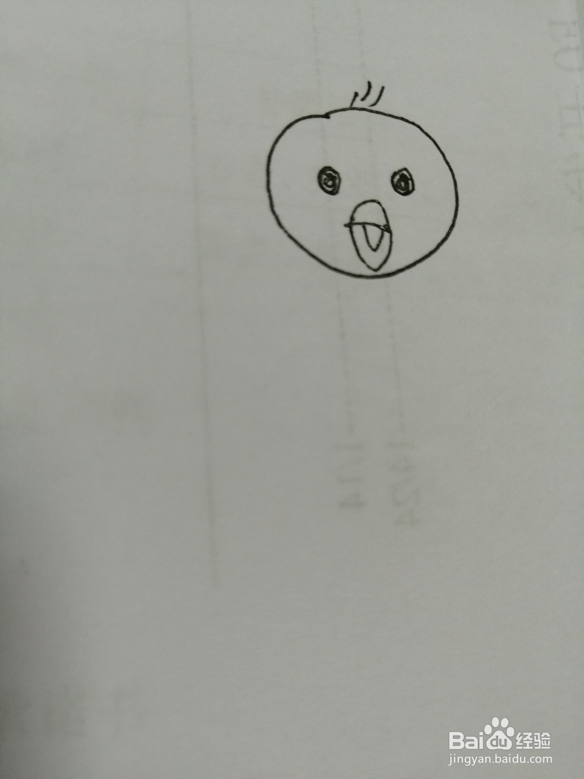 简笔画小鸟怎么画