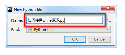 python 如何使用while循环