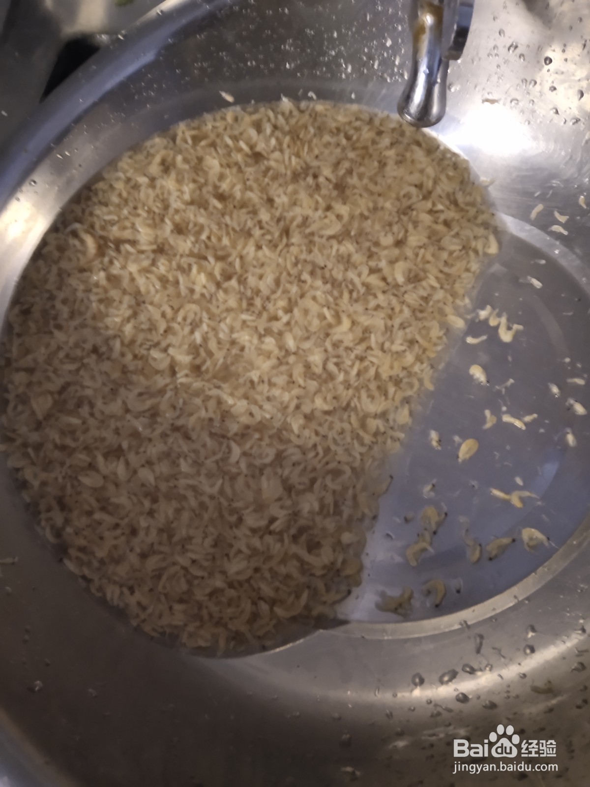 尖椒炒虾皮的做法