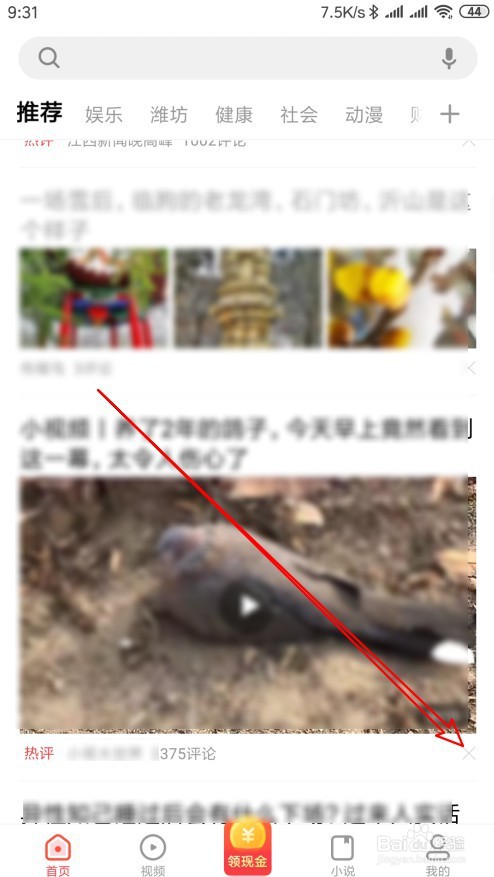 看多多如何拉黑指定作者的视频