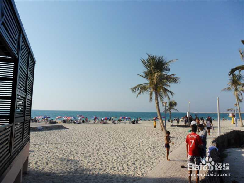 沿途的风景在我的镜头里,更在我心里 迪拜篇