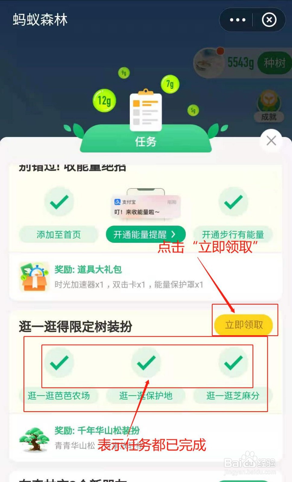 蚂蚁森林如何获得千年华山松装扮