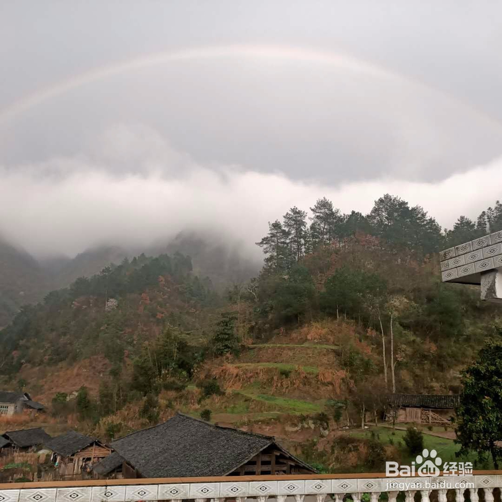 彩虹与樱花观赏散记