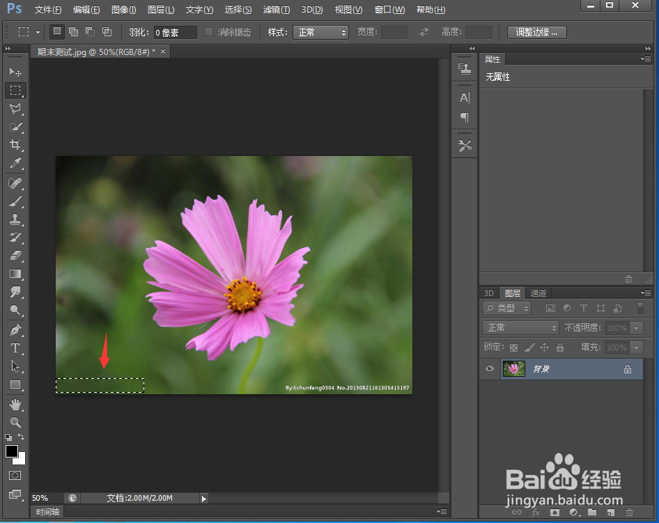 怎样在ps中删除水印文字