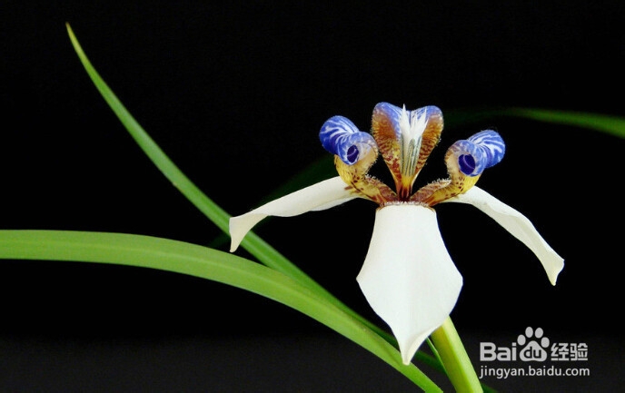 如何提高个人素质