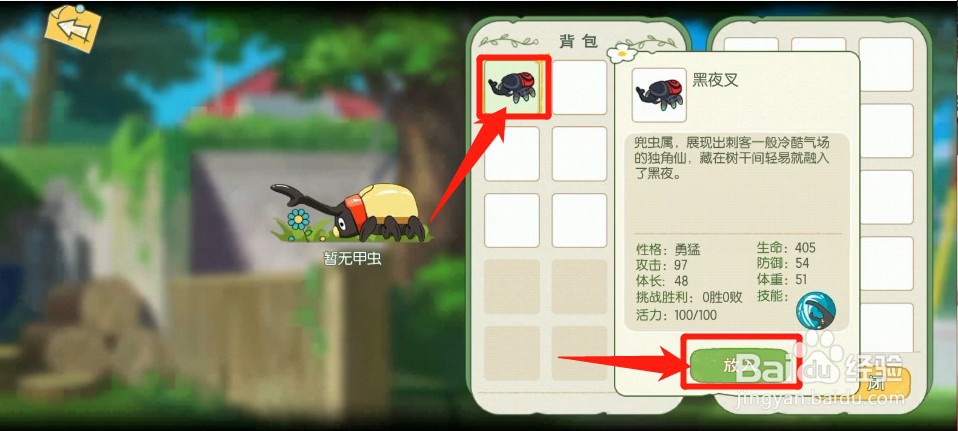 如何将虫子放入虫箱中管理
