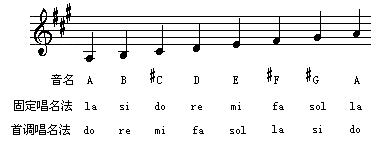 日照小提琴学习培训入门
