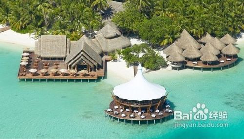 走走停停马代旅游